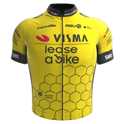 Team Visma - Lease a Bike